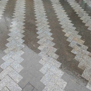 Paving stone from grey and black granite