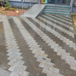 Granite paving stone