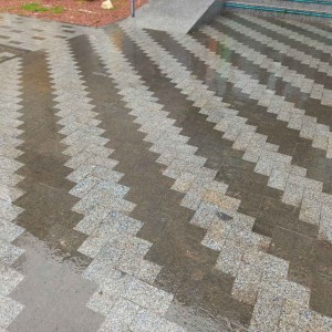 Grey and black granite paving stones