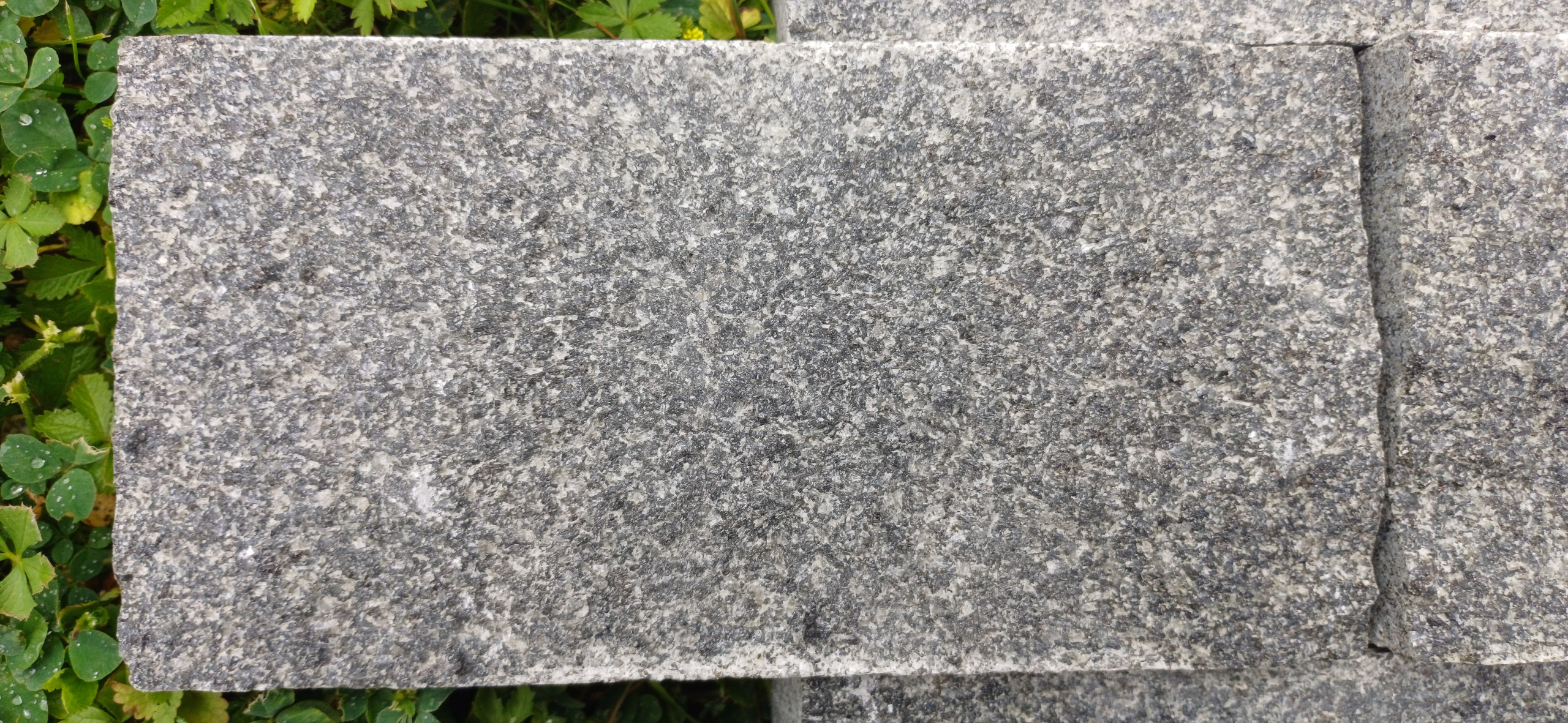 Colour and texture of Gabbro stone paving stones